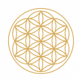 BSB flower of life logo