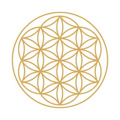 BSB flower of life logo